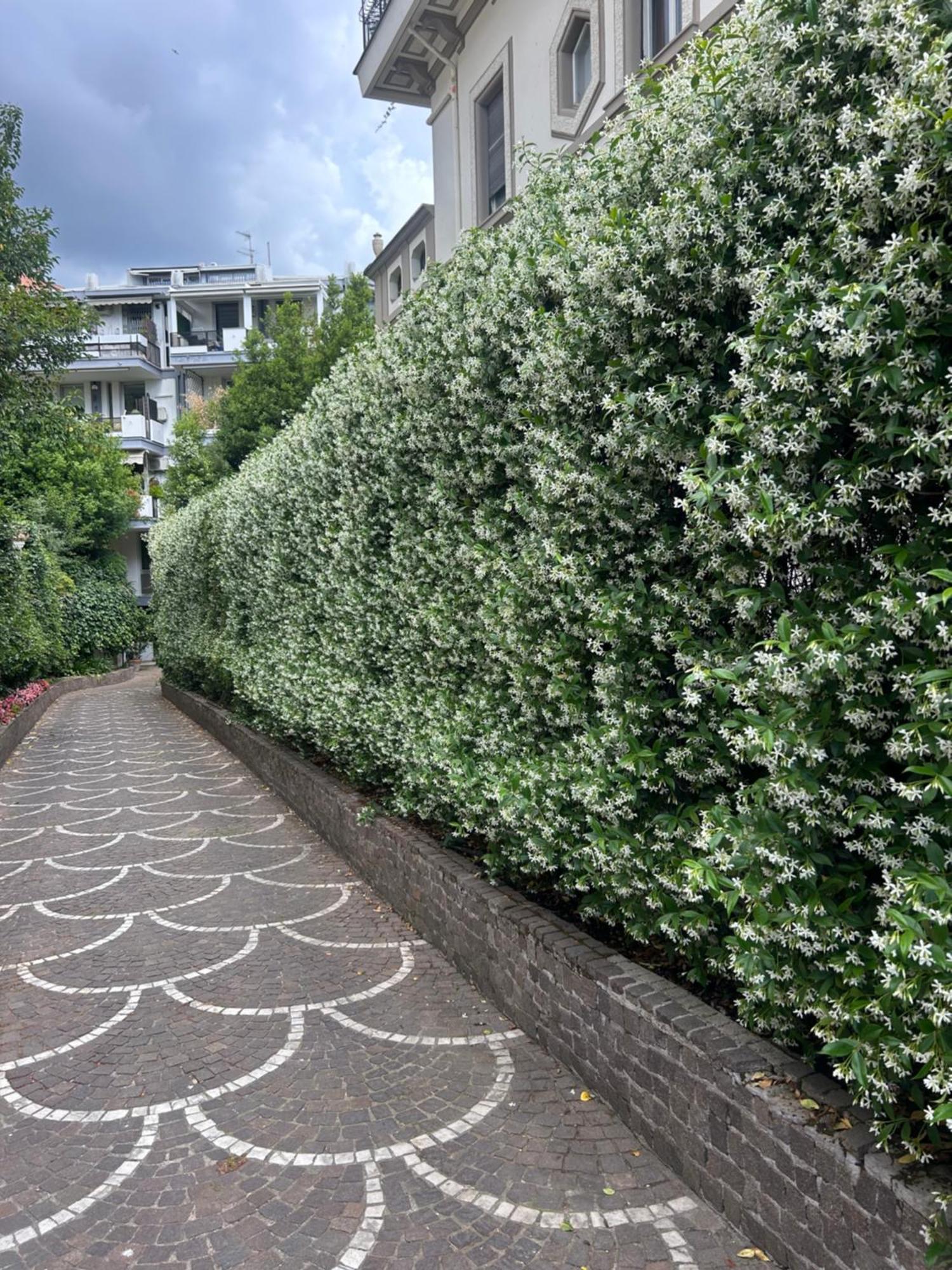 Borghese Luxury Apartamento *